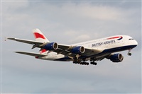 Miguel Alia - Noisy Spotters. Click to see full size photo
