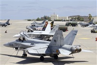 Paco Muoz Arencibia - Gran Canaria Spotters. Click to see full size photo