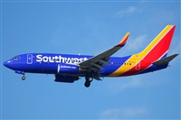 Ana L@dy Spotter. Click to see full size photo