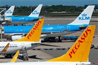 Miguel Martin Cordeiro - Iberian Spotters. Click to see full size photo