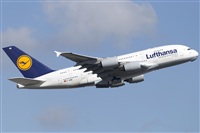Rubn Gil - Noisy Spotters. Click to see full size photo