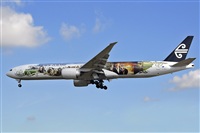 Miguel A. gueda Rguez.  (CANARY ISLANDS SPOTTING). Haz click para ampliar