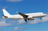 Florencio Martn Melin - Lanzarote Spotters. Click to see full size photo