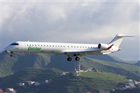 Saimon J Rodriguez   -   Canary Islands Spotting. Haz click para ampliar