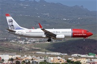 Bartolom Fernndez - Gran Canaria Spotters. Click to see full size photo