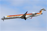 ©Alfonso Solís - Asociación Canary Islands Spotting. Click to see full size photo ©Alfonso Solís - Asociación Canary Islands Spotting. Click to see full size photo