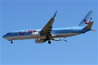 Alfonso Sols - Asociacin Canary Islands Spotting. Click to see full size photo