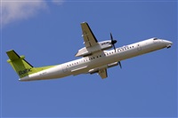 Miguel A. gueda Rguez.  (CANARY ISLANDS SPOTTING). Click to see full size photo