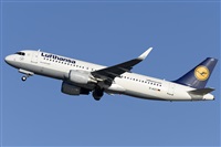LEBL Spotter. Click to see full size photo