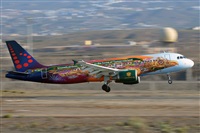 Miguel A. gueda Rguez.  (CANARY ISLANDS SPOTTING). Click to see full size photo