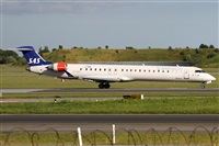 ©Alfonso Solís - Asociación Canary Islands Spotting. Click to see full size photo ©Alfonso Solís - Asociación Canary Islands Spotting. Click to see full size photo