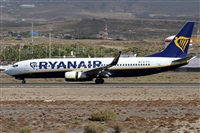 Alfonso Sols - Asociacin Canary Islands Spotting. Haz click para ampliar