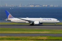 Miguel A. gueda Rguez.  (CANARY ISLANDS SPOTTING). Click to see full size photo