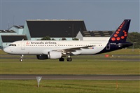 ©Alfonso Solís - Asociación Canary Islands Spotting. Click to see full size photo ©Alfonso Solís - Asociación Canary Islands Spotting. Click to see full size photo