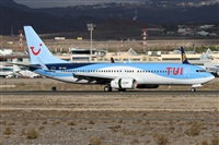Alfonso Sols - Asociacin Canary Islands Spotting. Click to see full size photo