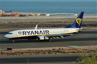 Alejandro Bethencourt (Canary Islands Spotting). Click to see full size photo