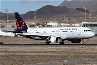 ©Alfonso Solís - Asociación Canary Islands Spotting. Click to see full size photo ©Alfonso Solís - Asociación Canary Islands Spotting. Click to see full size photo