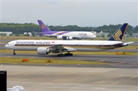 Miguel A. gueda Rguez.  (CANARY ISLANDS SPOTTING). Click to see full size photo
