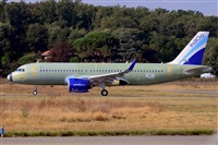 Miguel A. gueda Rguez.  (CANARY ISLANDS SPOTTING). Haz click para ampliar