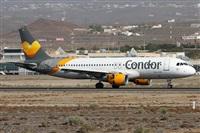Alfonso Sols - Asociacin Canary Islands Spotting. Click to see full size photo