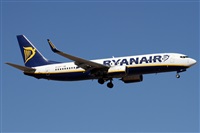 Alfonso Sols - Asociacin Canary Islands Spotting. Haz click para ampliar