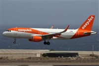 Alfonso Sols - Asociacin Canary Islands Spotting. Click to see full size photo