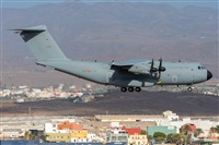 ©Adolfo Bento - Gran Canaria Spotters. Click to see full size photo ©Adolfo Bento - Gran Canaria Spotters. Click to see full size photo