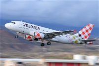 Miguel A. gueda Rguez.  (CANARY ISLANDS SPOTTING). Click to see full size photo