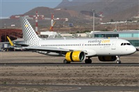 ©Alfonso Solís - Asociación Canary Islands Spotting. Click to see full size photo ©Alfonso Solís - Asociación Canary Islands Spotting. Click to see full size photo