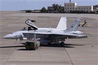 Alfonso Sols - Asociacin Canary Islands Spotting. Click to see full size photo