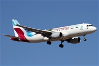 ©Alfonso Solís - Asociación Canary Islands Spotting. Click to see full size photo ©Alfonso Solís - Asociación Canary Islands Spotting. Click to see full size photo