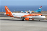 Miguel A. gueda Rguez.  (CANARY ISLANDS SPOTTING). Click to see full size photo