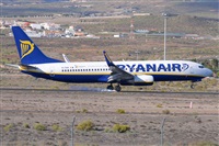 Miguel A. gueda Rguez.  (CANARY ISLANDS SPOTTING). Click to see full size photo