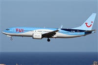 Alfonso Sols - Asociacin Canary Islands Spotting. Click to see full size photo