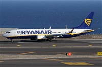 Alfonso Sols - Asociacin Canary Islands Spotting. Click to see full size photo