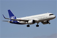 Alfonso Sols - Asociacin Canary Islands Spotting. Haz click para ampliar
