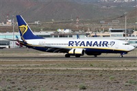 Alfonso Sols - Asociacin Canary Islands Spotting. Haz click para ampliar