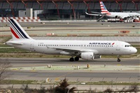 ©Alfonso Solís - Asociación Canary Islands Spotting. Click to see full size photo ©Alfonso Solís - Asociación Canary Islands Spotting. Click to see full size photo