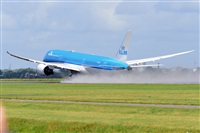 Miguel A. gueda Rguez.  (CANARY ISLANDS SPOTTING). Click to see full size photo