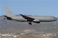 ©Adolfo Bento - Gran Canaria Spotters. Click to see full size photo ©Adolfo Bento - Gran Canaria Spotters. Click to see full size photo