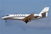 ©Alfonso Solís - Asociación Canary Islands Spotting. Click to see full size photo ©Alfonso Solís - Asociación Canary Islands Spotting. Click to see full size photo