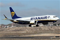 Alfonso Sols - Asociacin Canary Islands Spotting. Haz click para ampliar