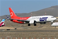 Miguel A. gueda Rguez.  (CANARY ISLANDS SPOTTING). Haz click para ampliar