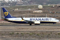 Alfonso Sols - Asociacin Canary Islands Spotting. Click to see full size photo