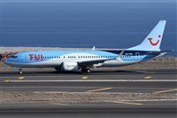 ©Alfonso Solís - Asociación Canary Islands Spotting. Click to see full size photo ©Alfonso Solís - Asociación Canary Islands Spotting. Click to see full size photo