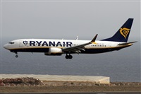 Alfonso Sols - Asociacin Canary Islands Spotting. Haz click para ampliar