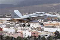 ©Adolfo Bento - Gran Canaria Spotters. Click to see full size photo ©Adolfo Bento - Gran Canaria Spotters. Click to see full size photo