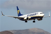 �Alfonso Sol�s - Asociaci�n Canary Islands Spotting. Click to see full size photo