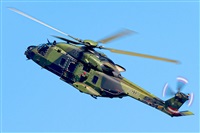 �Tam�s. Click to see full size photo