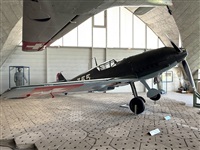 �Daniel Ferro. Click to see full size photo